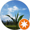 Cyclops Tomato profile picture