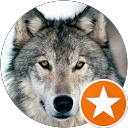 Denis Sumin profile picture